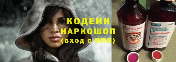шишки Балахна