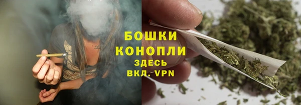 шишки Балахна