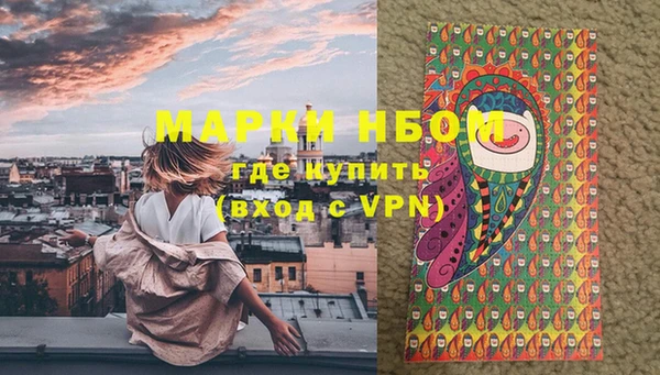 шишки Балахна