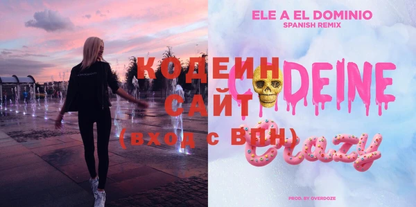 шишки Балахна
