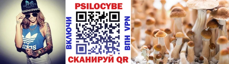 Галлюциногенные грибы GOLDEN TEACHER  Петровск-Забайкальский 