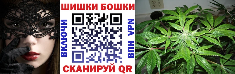Бошки марихуана ГИДРОПОН  продажа наркотиков  гидра зеркало  Петровск-Забайкальский 